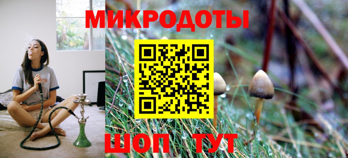 Галлюциногенные грибы MAGIC MUSHROOMS  Вход с VPN  Среднеуральск 