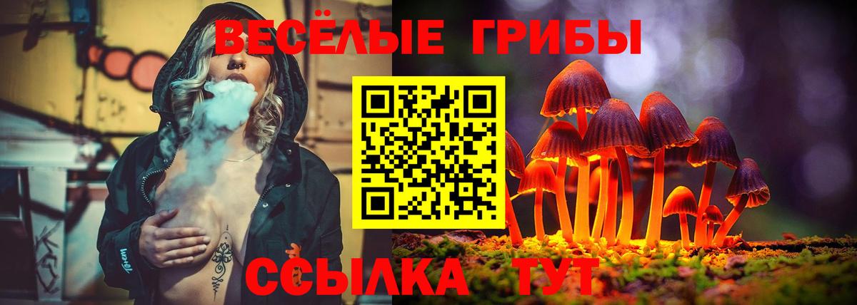 Галлюциногенные грибы MAGIC MUSHROOMS Среднеуральск